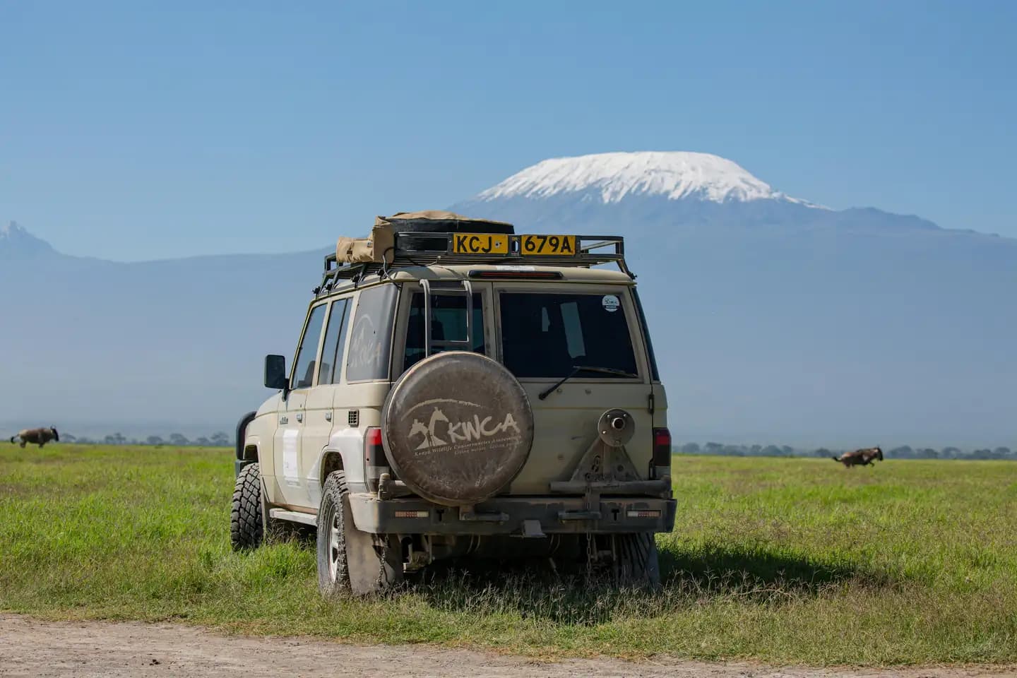 Kenya Travel Tips: What to Know Before You Visit