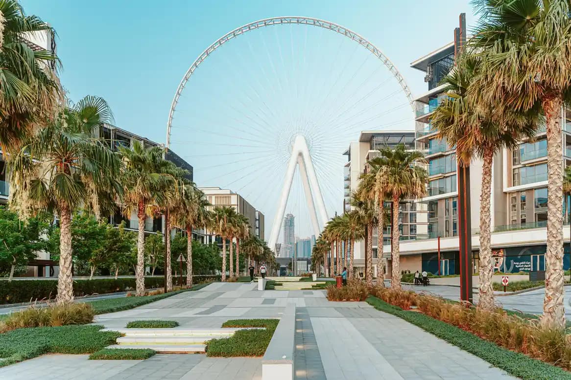 Ripe Market Dubai 2026: Discover the New Summer Spot