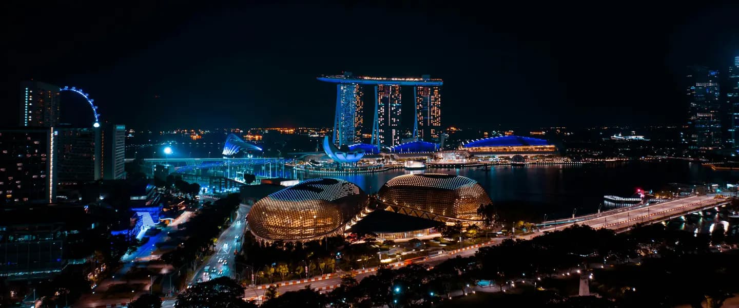 The Top 10 Best Things to Buy in Singapore