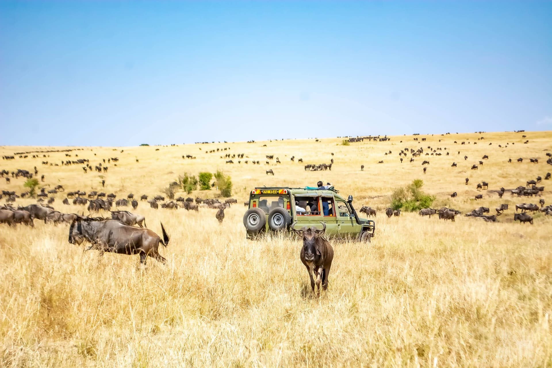 The Best Tourist Attractions in Kenya