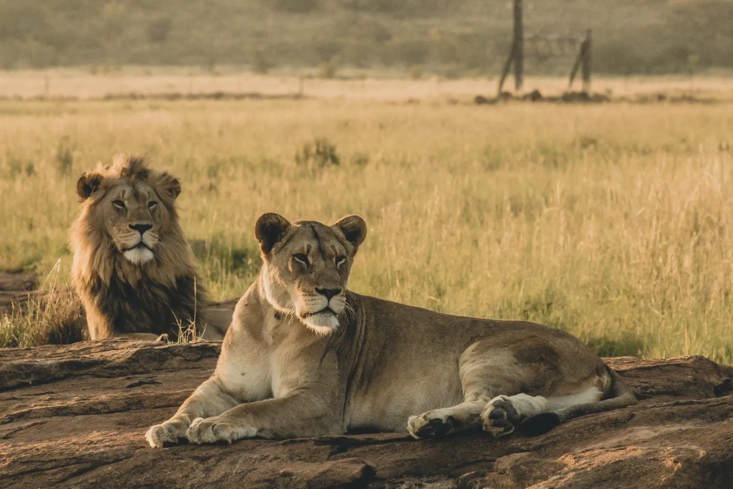 Tanzania Tour Package