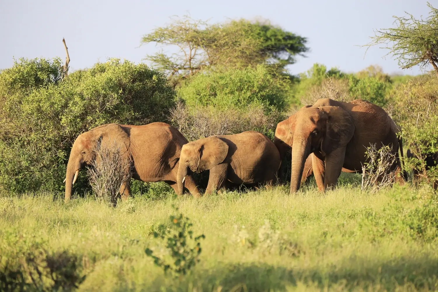Zambia Tour Package