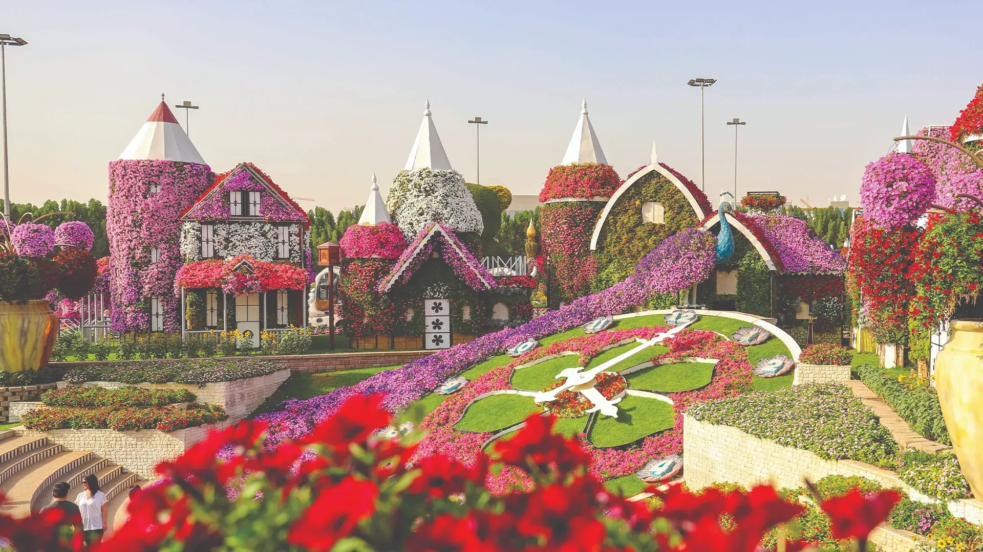 Miracle Garden