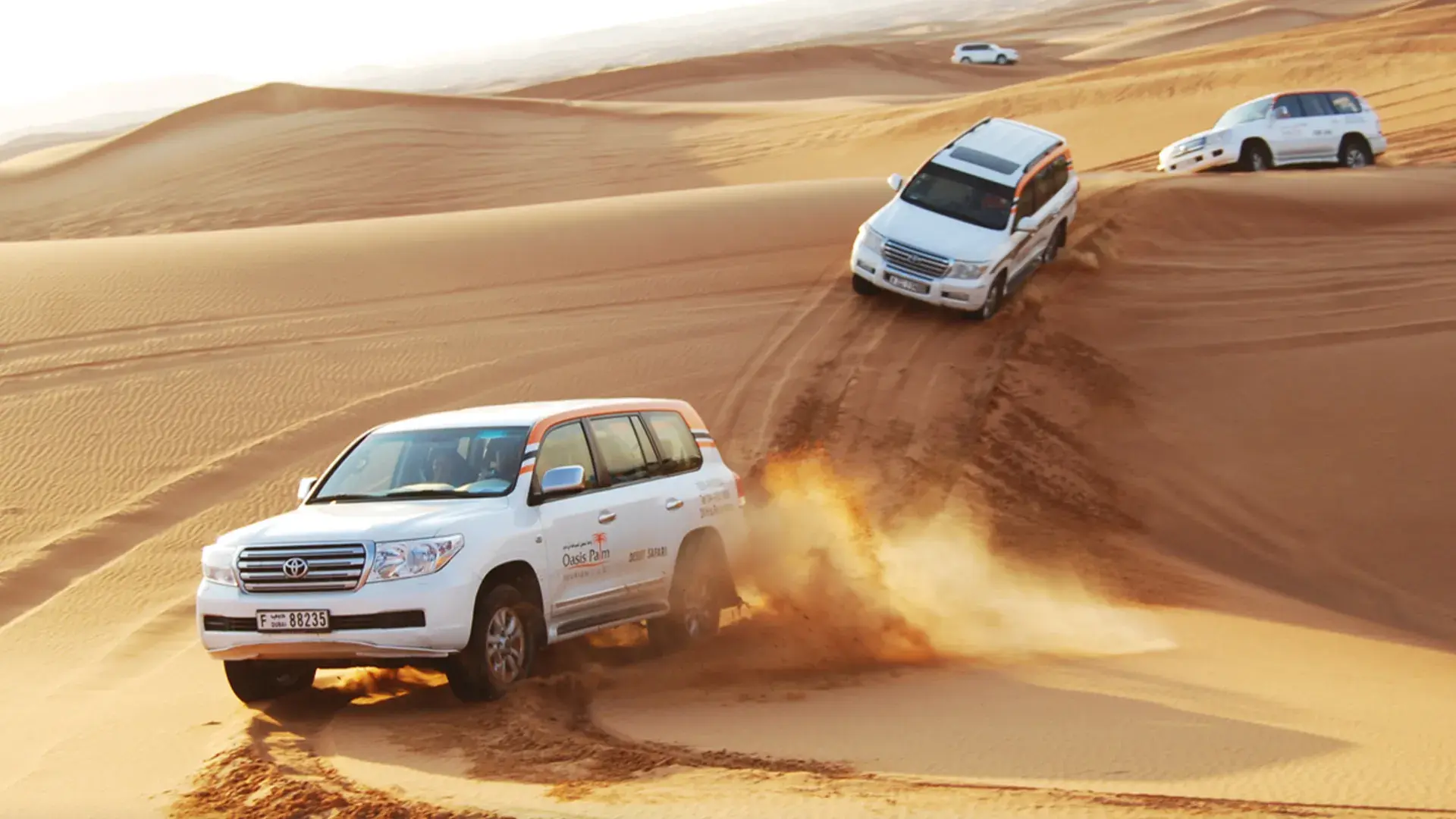 Modern City Tour with Desert Safari