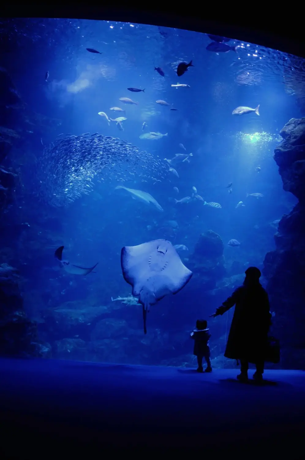 Sea World