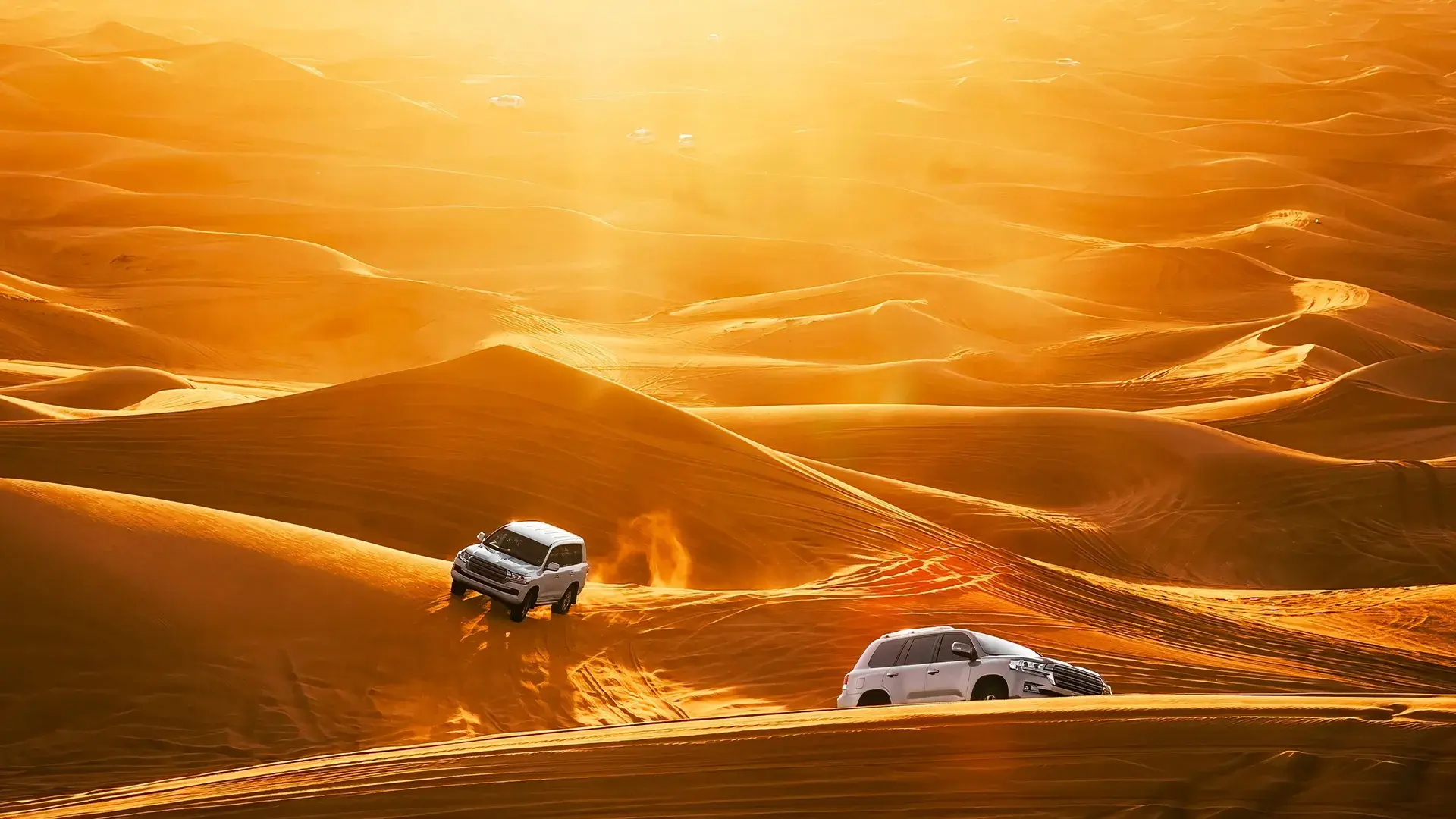 Evening Desert Safari in Dubai