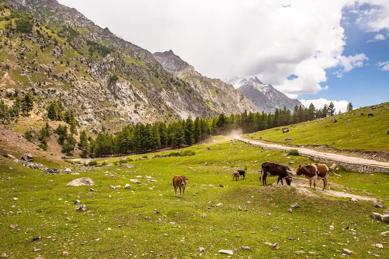 Pakistan Tour Package