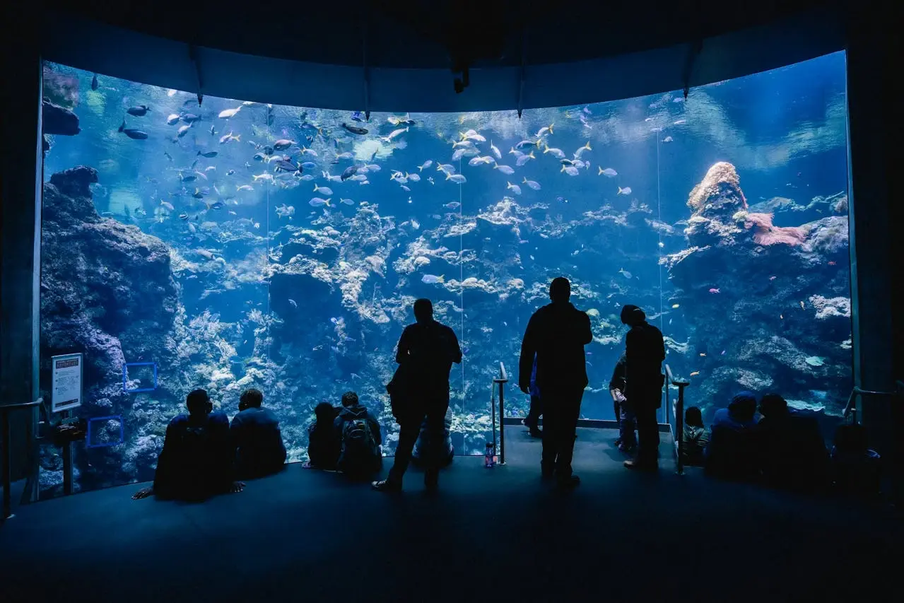 Aquarium of the Bay
