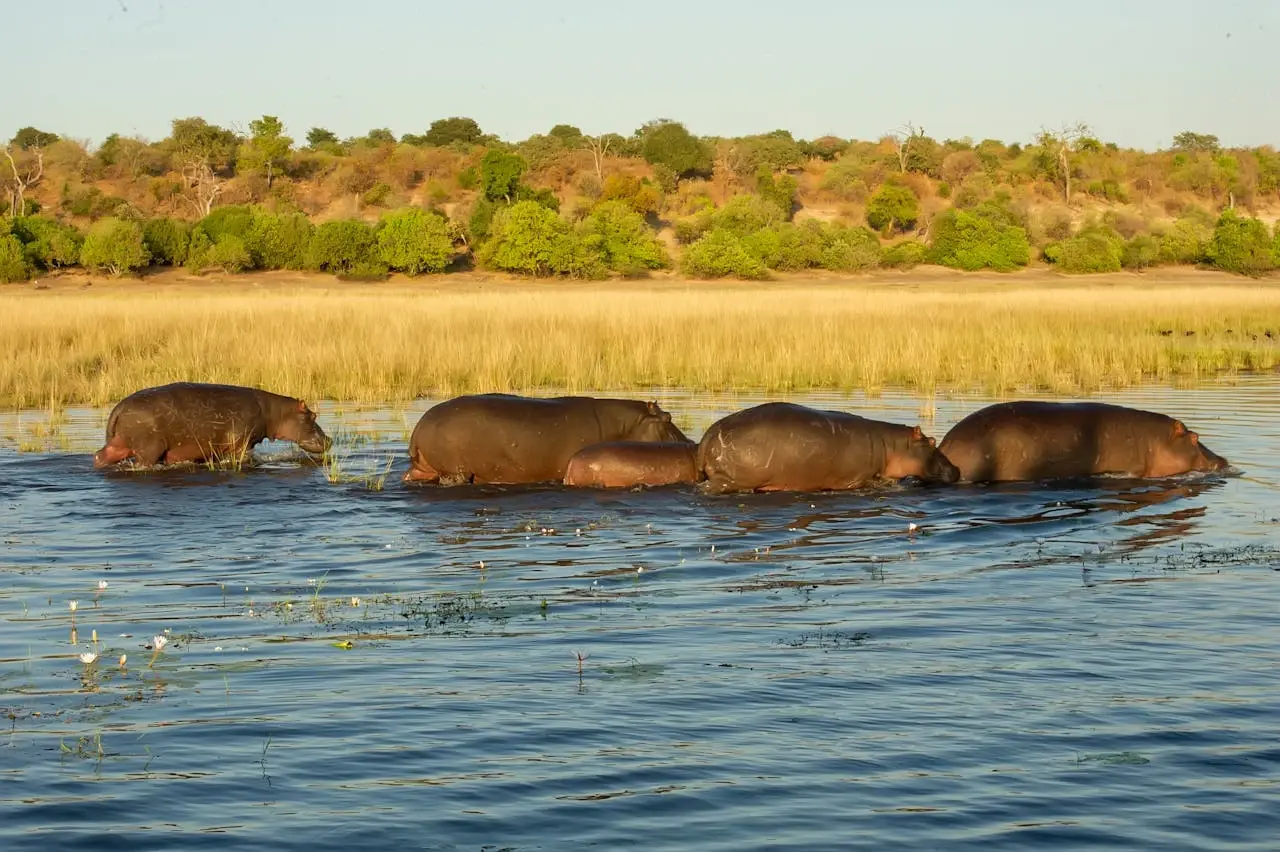 Lake Naivasha
