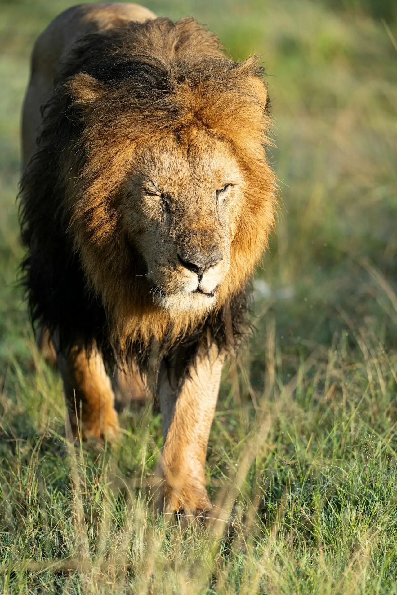 Kenya Tour Packages