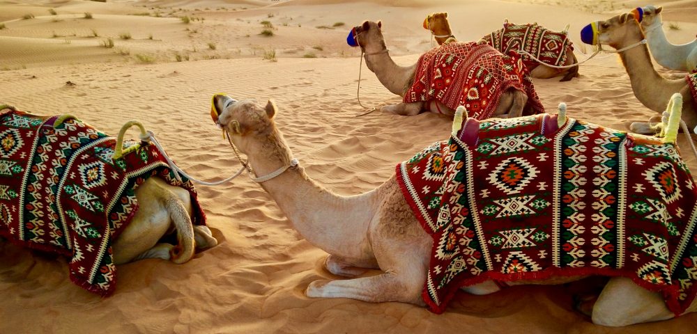 Desert Camping Dubai