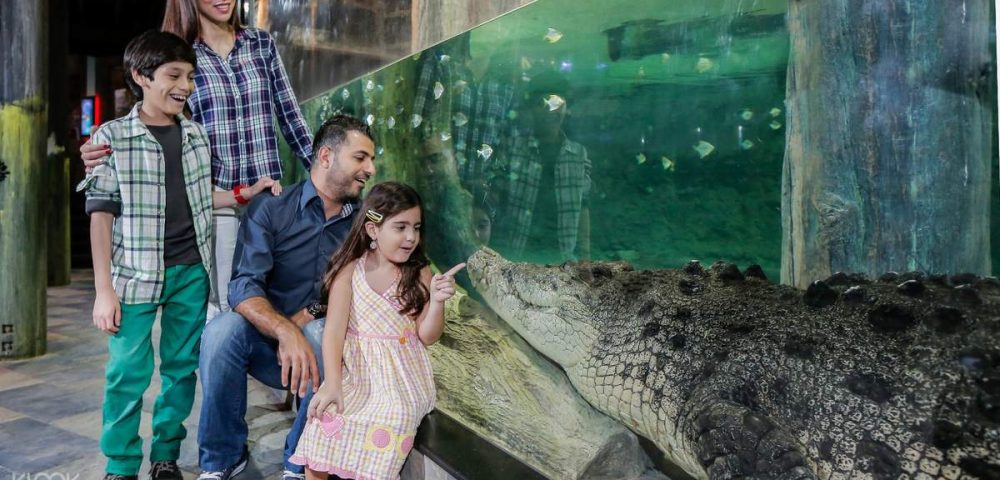Crocodile-Dubai-Aquarium