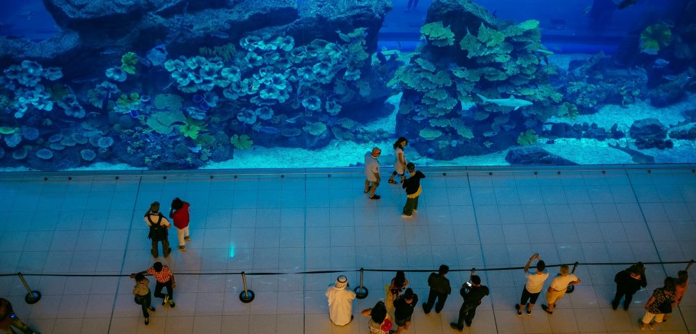 Dubai-Aquarium-Tickets