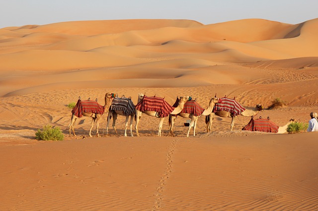 Evening-Desert-Safari-in-Dubai-package