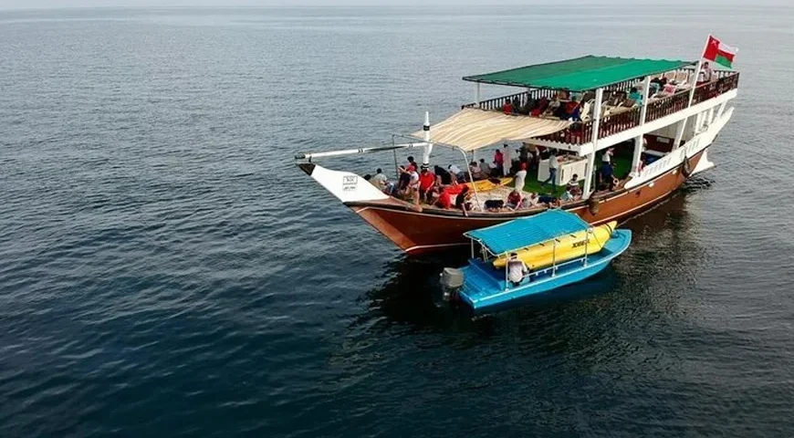 Musandam Dibba Tour from Dubai: Dolphins spotted during a boat tour in Musandam.