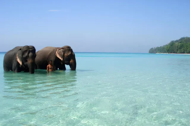 Andaman Islands Tour Packages from Dubai