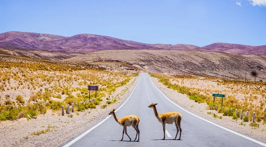 Argentina Tour Packages from Dubai