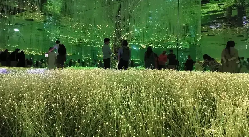 Spectacular light show at Aya Universe Dubai with vibrant colors.