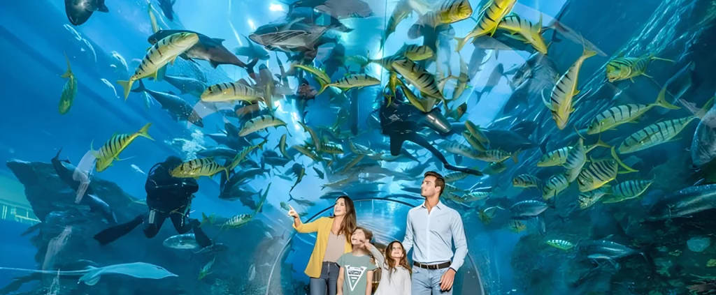 Visit the Dubai Mall and Aquarium for underwater shopping and sightseeing