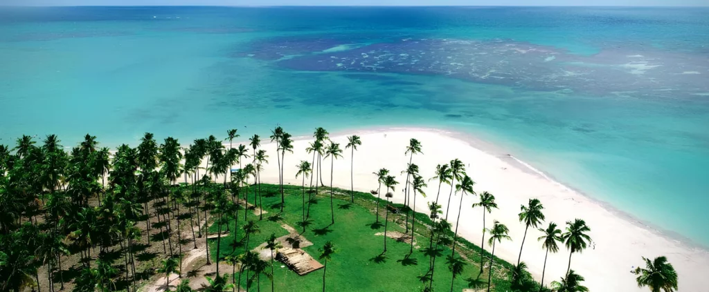 Praia dos Carneiros Pernambuco