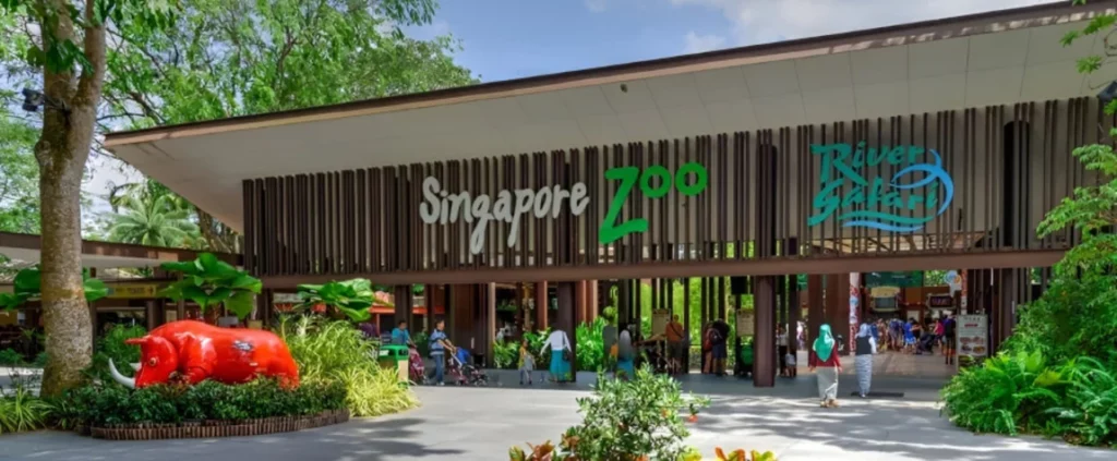 Singapore Zoo A Wildlife Haven