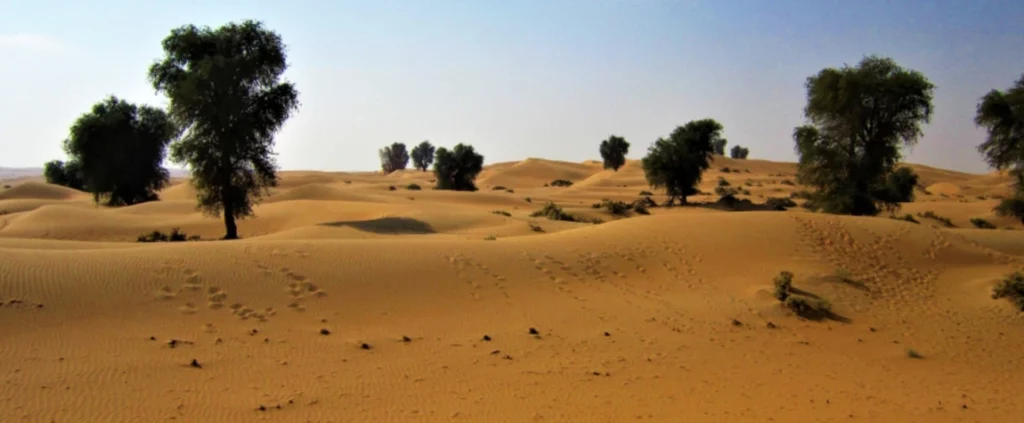 Trails and Hikes in Abu Dhabi