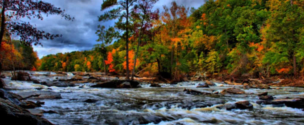 A state park by the name of Sweetwater Creek is situated within Lithia Springs.