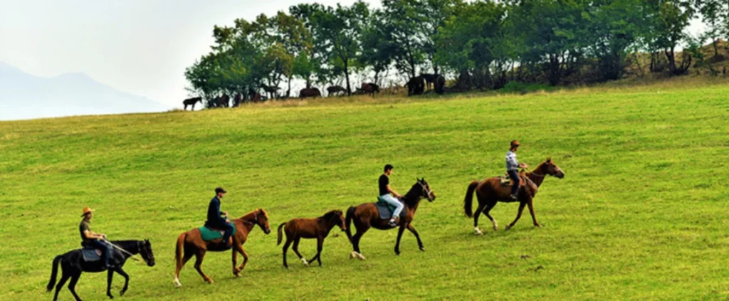 Horseback Riding in the Lori Region