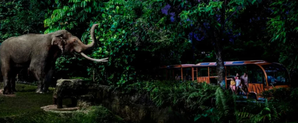 Singapore Zoo and Night Safari