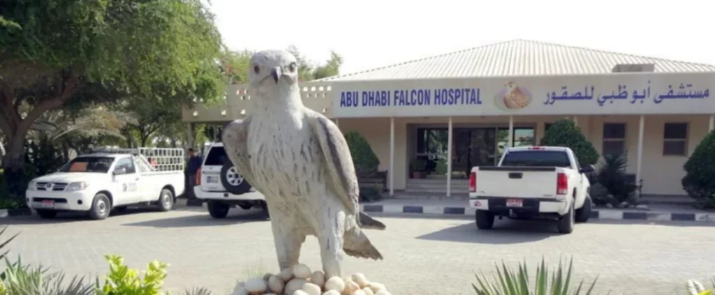 Falcon Hospitals Giant Falcon Statue