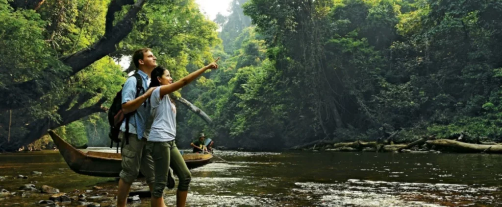 Taman Negara's Ancient Rainforest Adventure