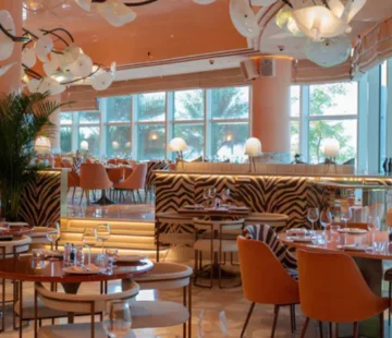 restaurants opened in the last quarter in Abu Dhabi