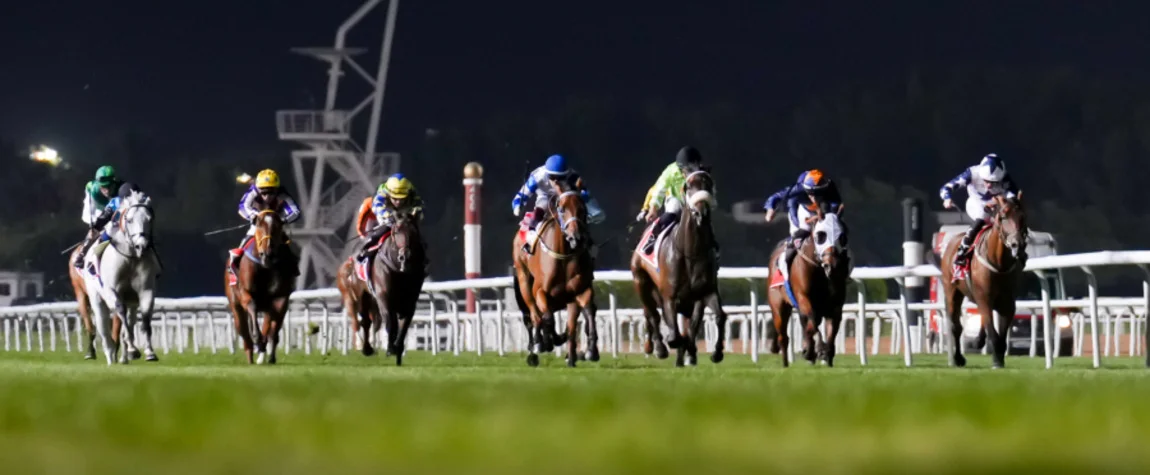 Cheer on the horses at Dubai World Cup Carnival