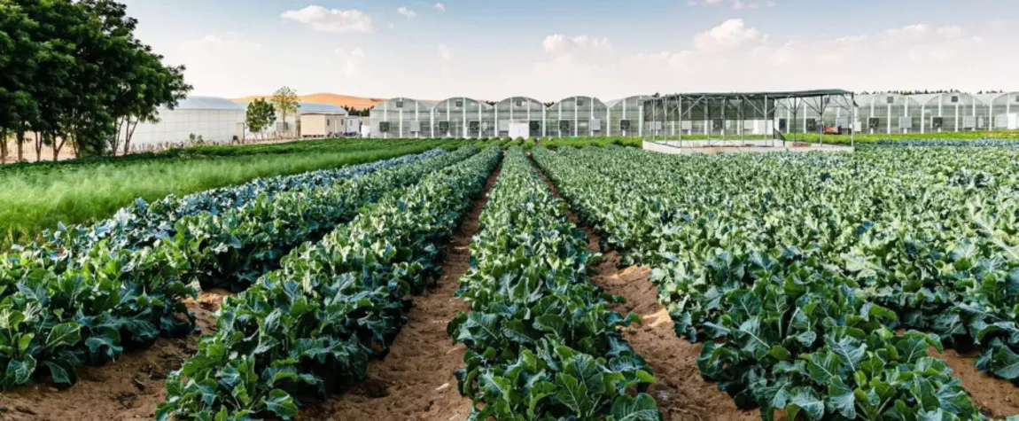 Al Ain: Emirates Bio Farm