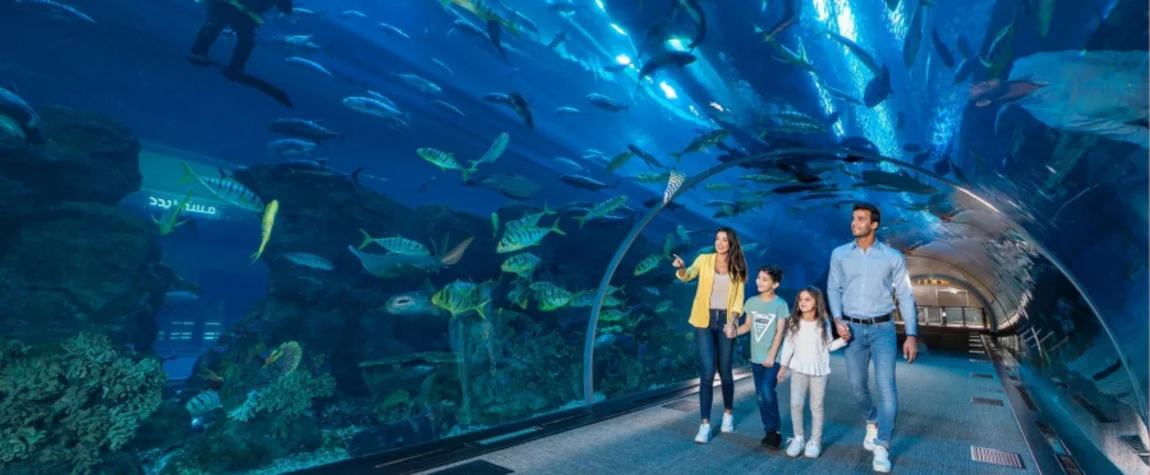 Dubai Mall Aquarium Underwater Zoo