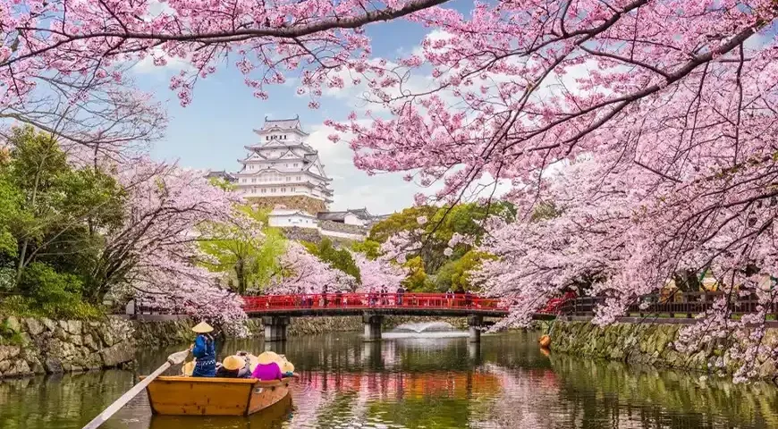 Japan Cherry Blossom Packages from Dubai