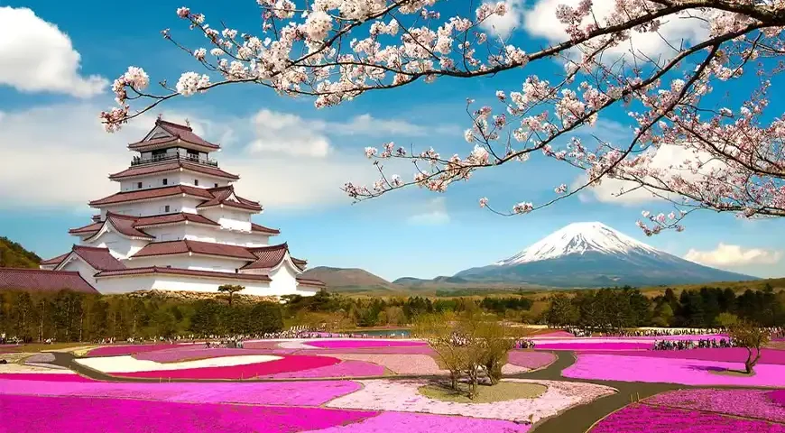 Japan Cherry Blossom Packages from Dubai