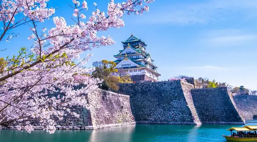 Japan Cherry Blossom Packages from Dubai