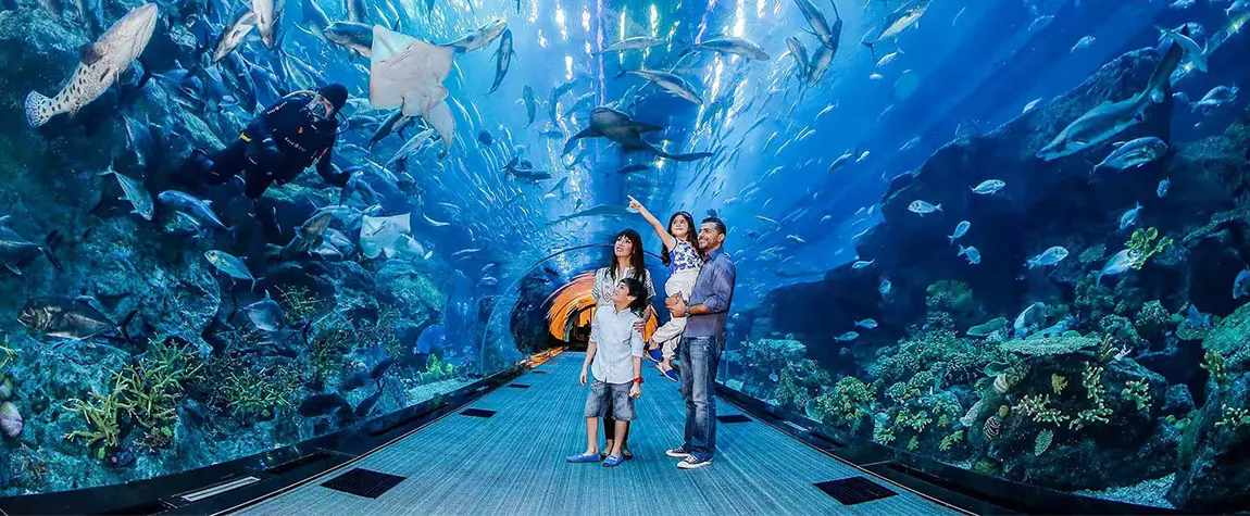 6. Dubai Mall and Dubai Aquarium