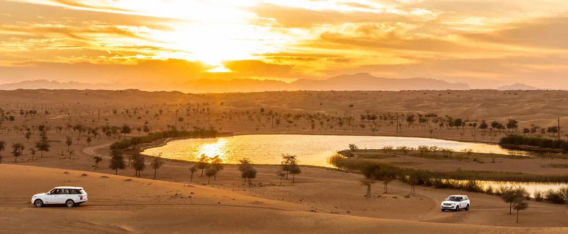 Sunset Desert Safari