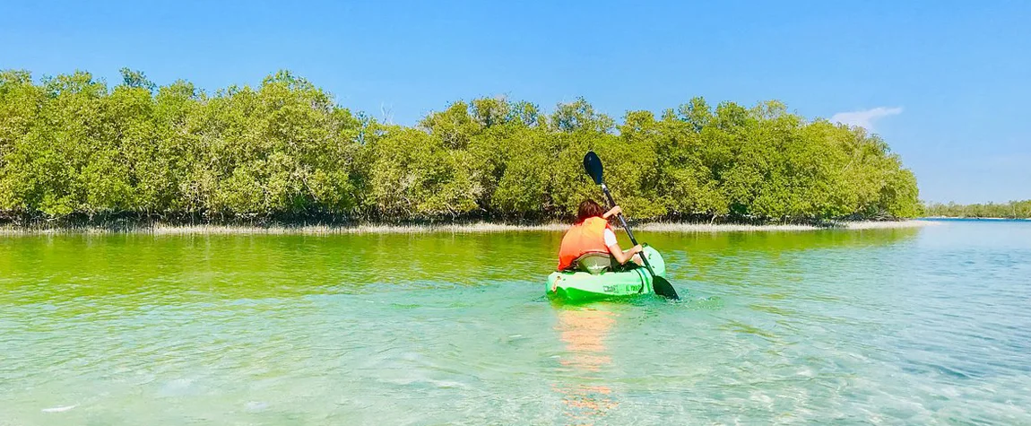 Kayaking in Mangrove National Park