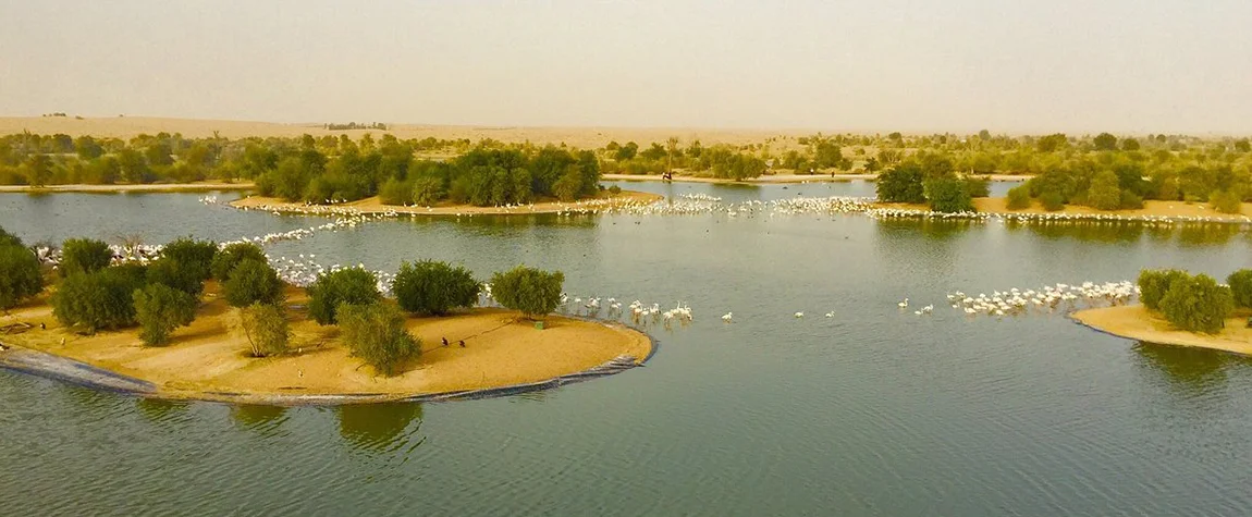 desert lakes to visit in the UAE