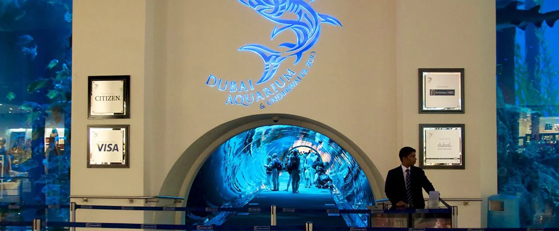 Zoos and aquariums to visit in Dubai