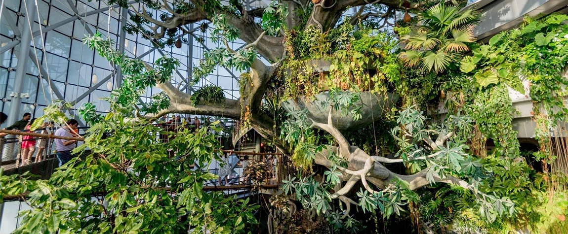 Indoor attractions in Dubai