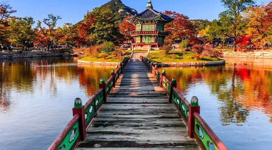 South Korea Tour Packages from Dubai