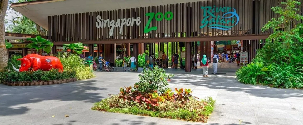 Singapore Zoo
