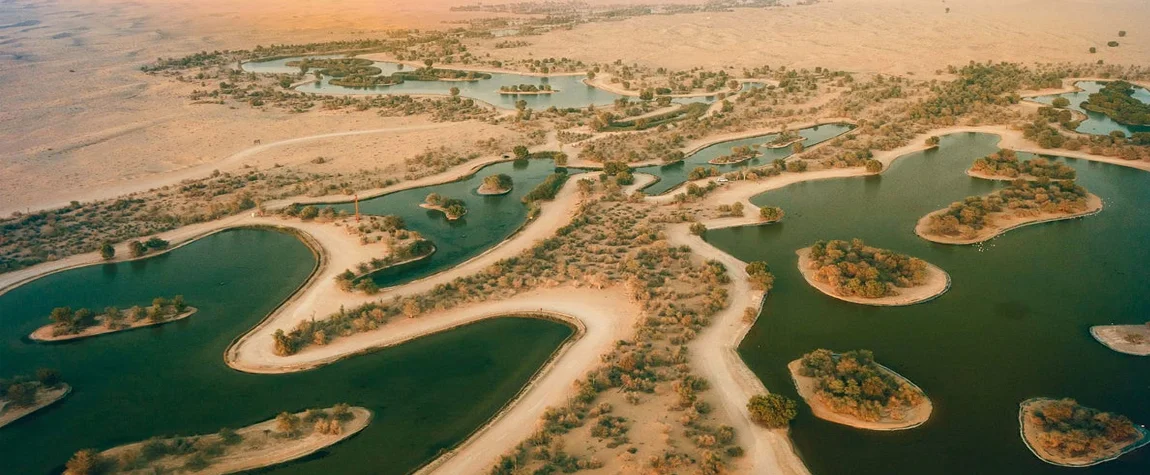 6. Al Qudra Lakes