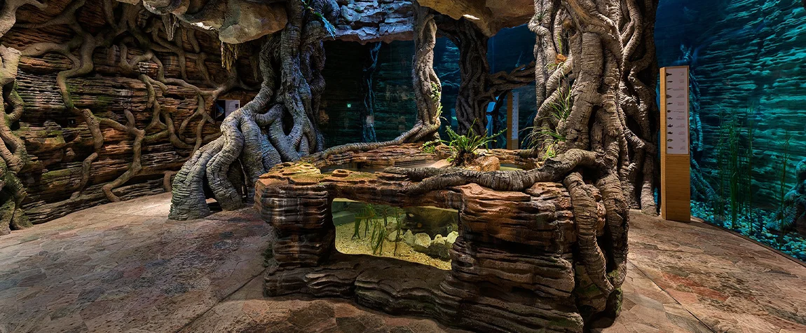 6. The Green Planet A Tropical Rainforest in the Desert