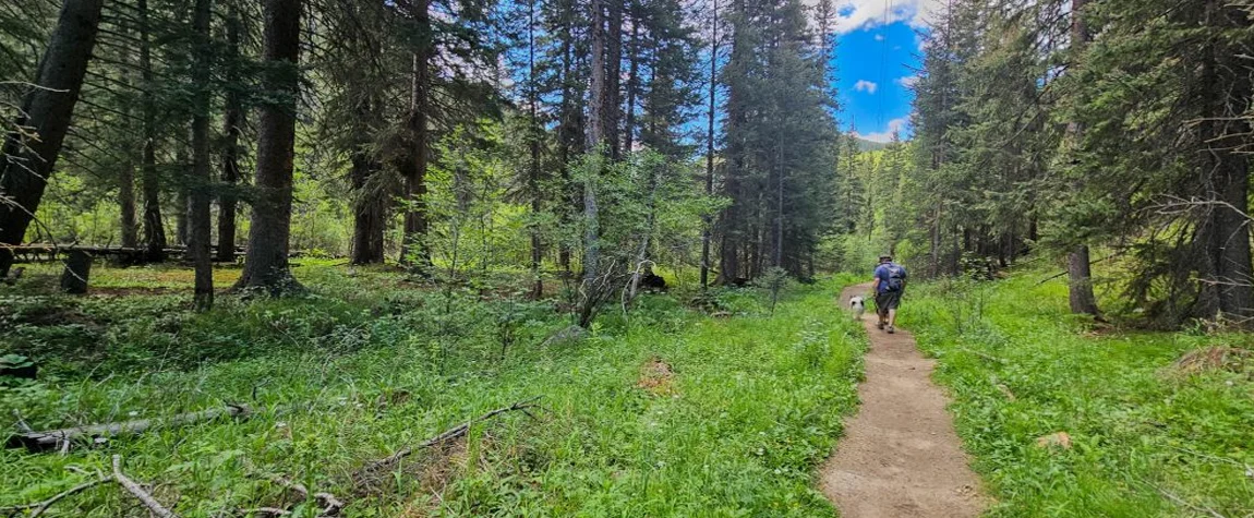 9. Take a Stroll Along the Creek Walk