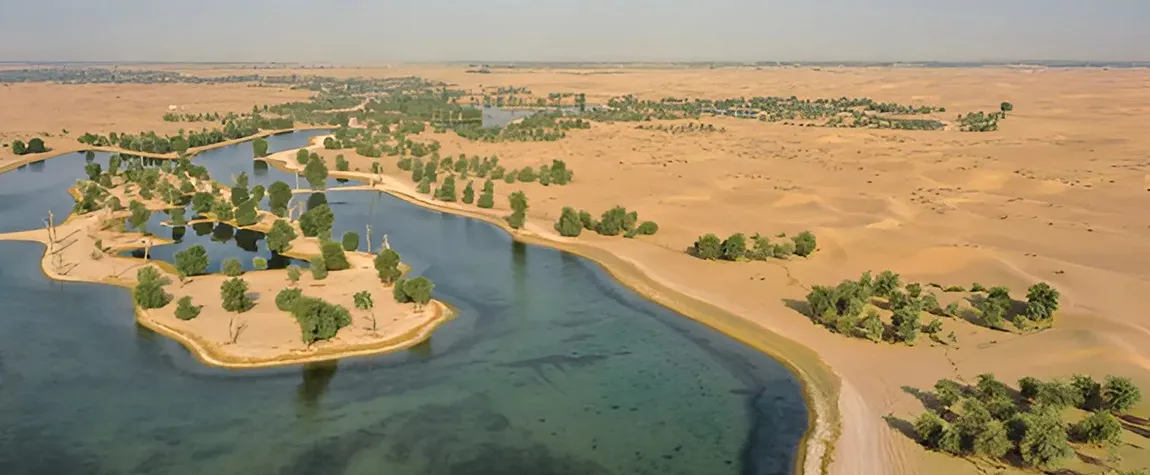 Outdoor Picnic Spots in Dubai